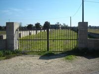 Antica masseria composta dal piano terra e primo piano,...