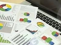 Quota societaria pari al 20% della Società Brico Service srl 