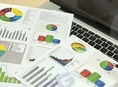 Quota societaria pari al 20% della Società Brico Service srl 