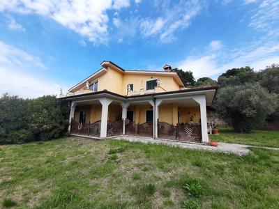 Immobile indipendente destinato ad uso abitativo composto da tre piani di cui due in costruzione, con corte annessa e terreni in parte destinati ad uliveto in parte seminativi.