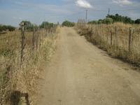Immobili 2), 2a), 2b) e 2c)Appezzamenti di terreno siti...