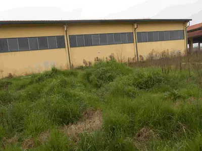 Piena proprieta' di fabbricato agricolo ad uso deposito attrezzi, avente...
