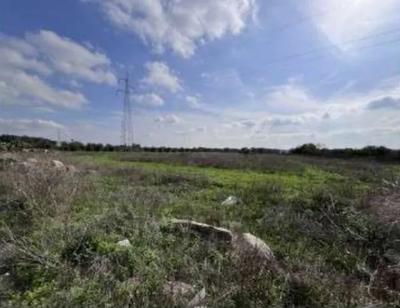 Piena Proprietà 1/1, sita in agro di San Donaci (BR),...