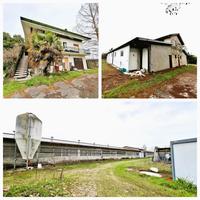 Complesso immobiliare agricolo ricadente su area della...