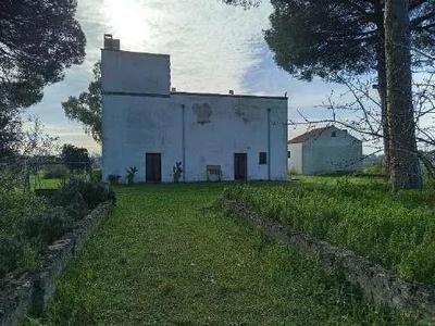 AGRITURISMO e TERRENI AGRICOLI, in CAMPI SALENTINA (LE) Località Casina Magi sn