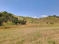 1/1 di terreno agricolo di mq. 35.400, composto da...