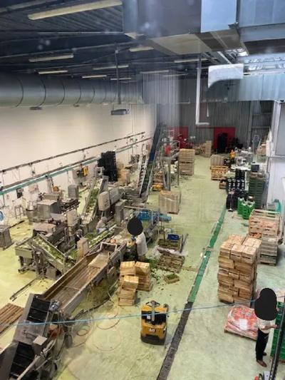 Azienda esercente attività di lavorazione di prodotti ortofrutticoli e vendita all’interno del Mercato alimentare di Firenze.