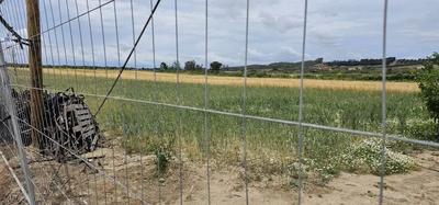 Terreni Agricoli  costituiti principalmente da seminativi destinati alla coltivazione di frumento ed ortaggi, con una piccola parte investita a vigneto da vino, oltre ad ente urbano  