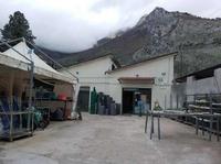 Piena Proprietà del Fabbricato ubicato nel Comune di...