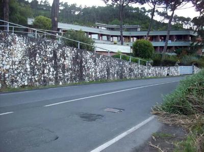 Piena ed intera proprietà di appartamento ad uso abitazione ubicato nel...