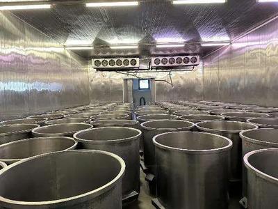 Macchinari e linee di produzione e commercializzazione per insaccati e salumi