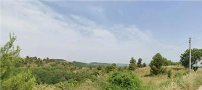 Appezzamento di terreno di natura agricola costituito da n. 6 p.lle contigue della complessiva estensione di mq 20.435, ubicato a Ripatransone (AP) – C.da Petrella.