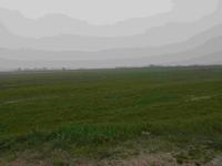 Piena proprieta' di terreni agricoli con destinazione a...