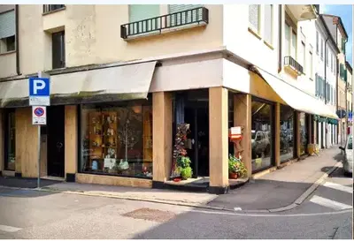 Negozio a Rovigo (RO), via Giovanni Miani 38 angolo via Alberto Mario. Zona...