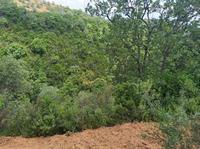 Terreno identificato nel N.C.T. al fg. 36, p.lla 186...
