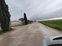 Piena proprietà per la quota di 1/1 di fondo agricolo...