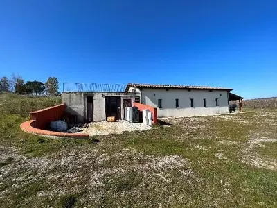 Quota pari ad 1/1 della piena proprietà di immobili e terreni formanti un unico compendio destinato ad azienda agricola in Comune di Roccastrada in loc. Cintoia di ettari 25.58.92, posta a 1,5 Km dal paese di Ribolla e raggiungibile dalla strada Prov. della Collacchia, immettendosi nella str. Vic del Vallone