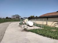 Piena proprieta' di stabilimento produttivo-agricolo,...