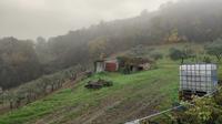 Magazzini per l'attività agricola a Configni (RI), Via...
