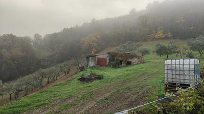 Magazzini per l'attività agricola a Configni (RI), Via...