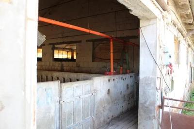 Piena proprietà di abitazione piano terra e primo,allevamento siunicolo...